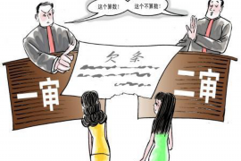 苍南融资清欠服务